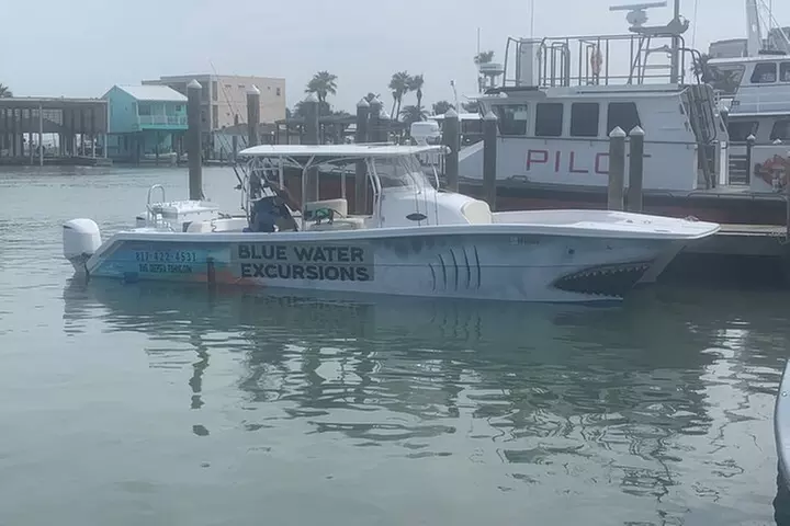 Private Dolphin Watch and Sunset Boat Tour Port Aransas Texas