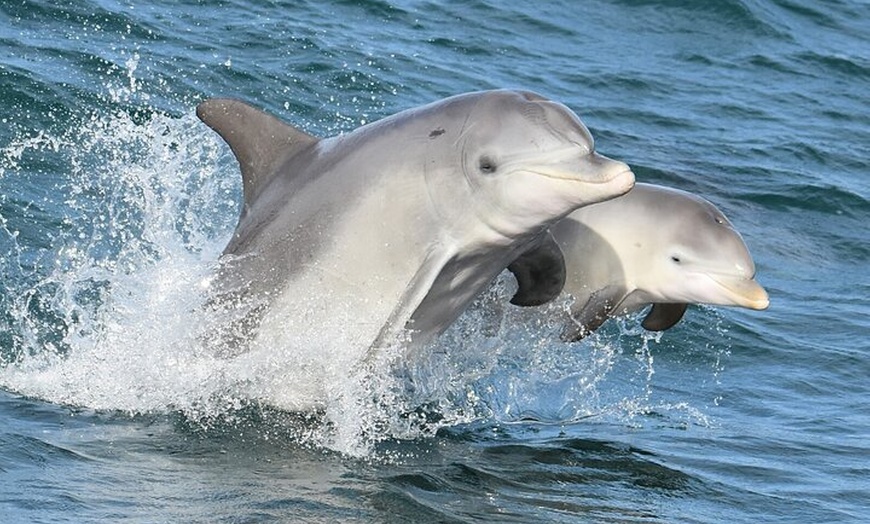 Image 1: 2 Day Perth to Busselton and Margaret River Tour