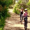 Image 4: Electric Mountain Bikes Rental in Port Lincoln