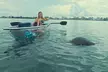 3-Hour Clear Kayak Beach Hopping Adventure in Sarasota - Second Medium