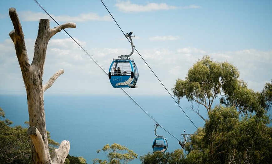 Image 5: Depart Peninsula: Mornington Peninsula Food and Wine Tour