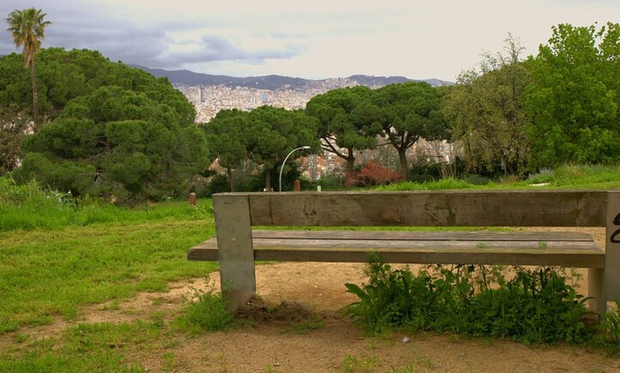 Image 6: Maravillas de montaña de Montjuïc : Tour a pie