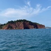 Image 31: Luxury Costal Rib Tour to Babbacombe Bay from Exmouth Marina