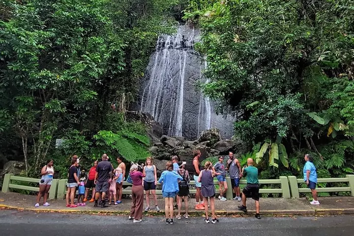 Puerto Rico: El Yunque Sightseeing Half-Day Tour w/Transfer - Primary Image