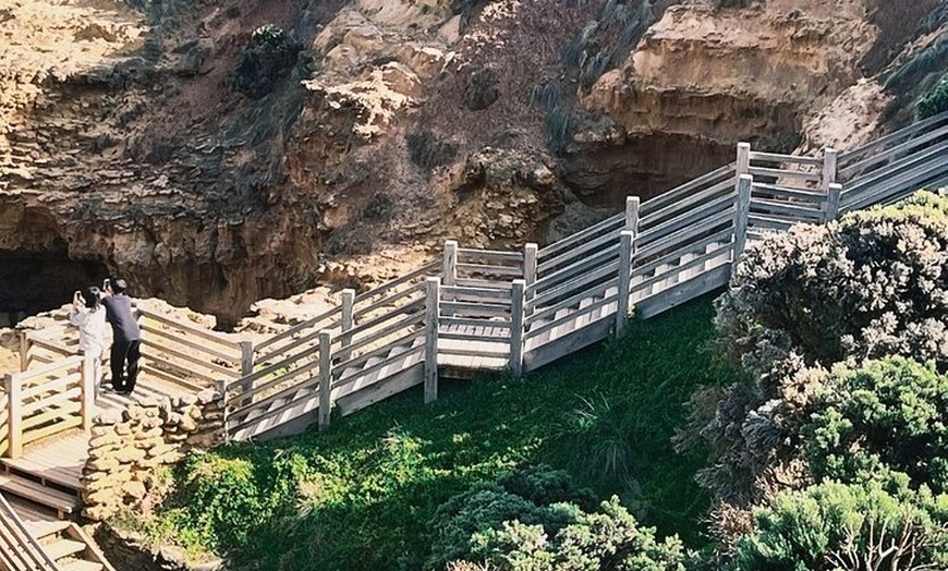 Image 4: Private Great Ocean Road Tour