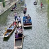 Image 4: Private Cambridge Day Trip from London with River Cam Punting