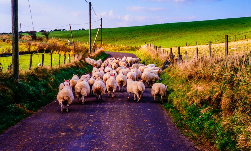 Image 9: ✈ IRLANDE | Dublin - Wild Atlantic Way avec location de voiture 3* ...