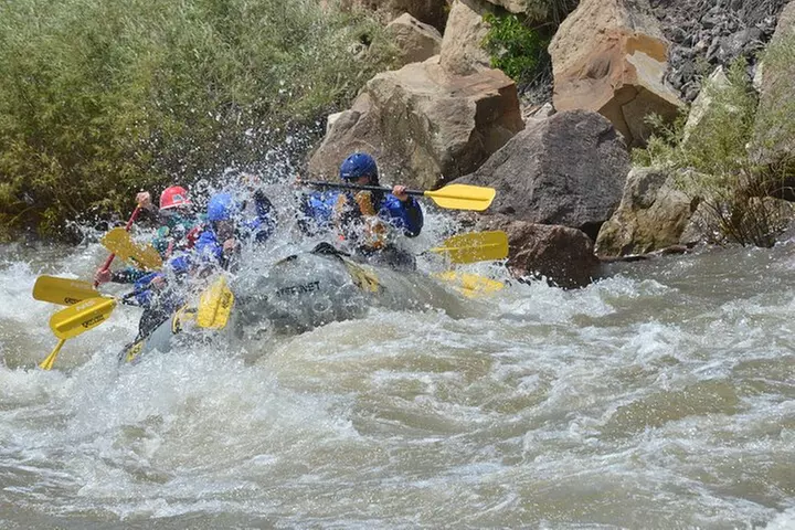 Bighorn Sheep Canyon Half Day Beginner Whitewater Rafting Tour - Second Medium