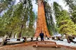 Giant Sequoia National Park Private Day Tour from Los Angeles - Second Medium