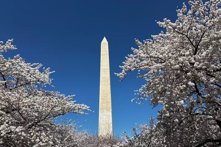 Small Group Washington DC Tour with Changing of the Guard