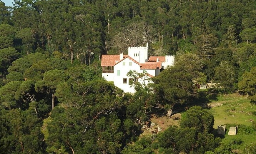 Image 2: Excursión privada de un día a Tánger desde Estepona Todo incluido vip