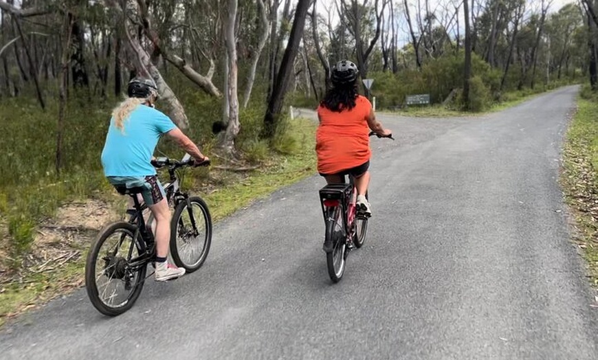 Image 11: Self Guided Electric Bicycle Tour of Bundanoon