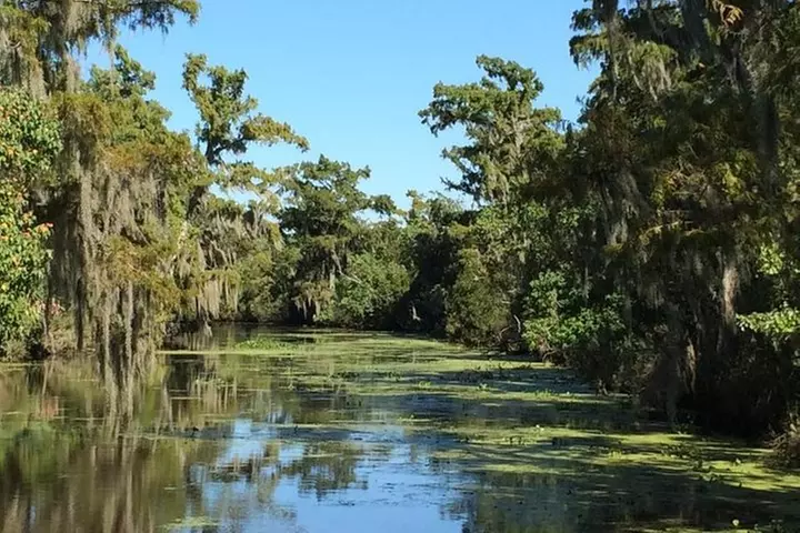 Destrehan Plantation and Swamp Tour from New Orleans