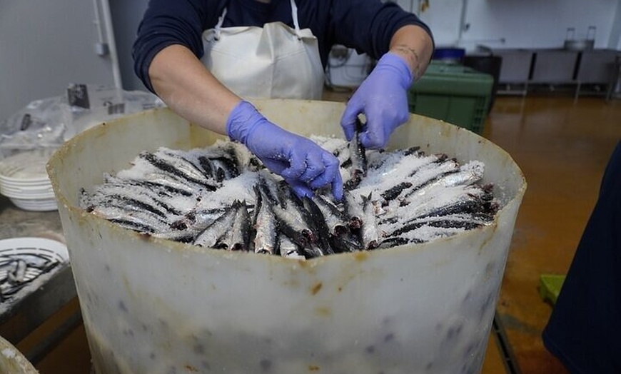 Image 3: Visita y degustación en fábrica de las Mejores Anchoas Santoña