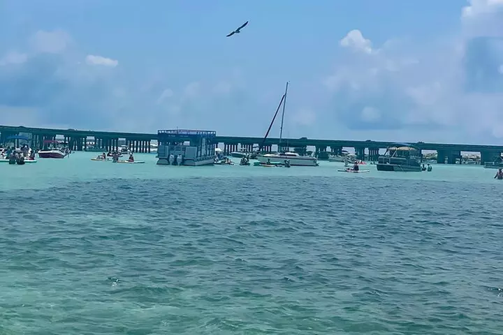 Private Crab Island Charter with Bote Paddleboards