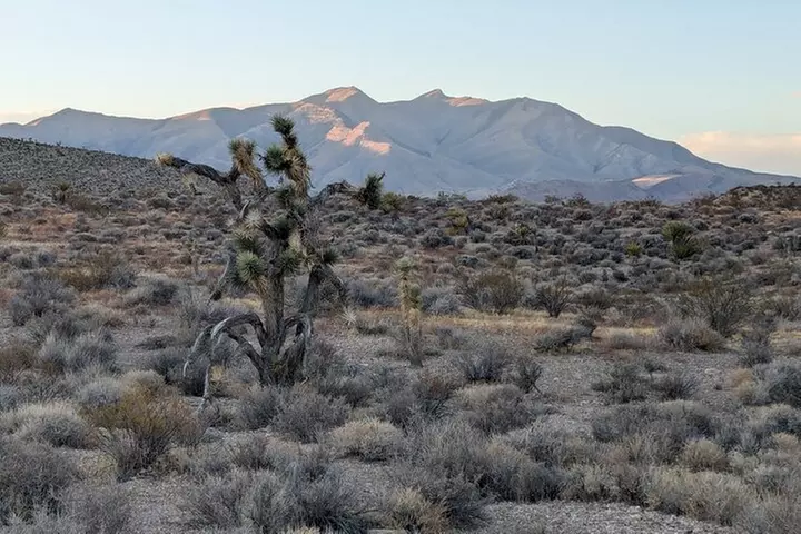 Las Vegas ATV Tours