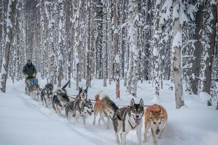 Signature Ridge Top Mush