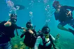 Voted Honolulu's #1 Beginner Scuba Diving + Free Videos Tour