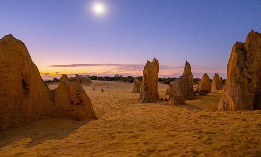 Image 2: Private Pinnacles Desert Tour from Perth