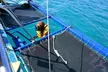 Oahu Catamaran Snorkel Tour with Guaranteed Turtles - Second Medium