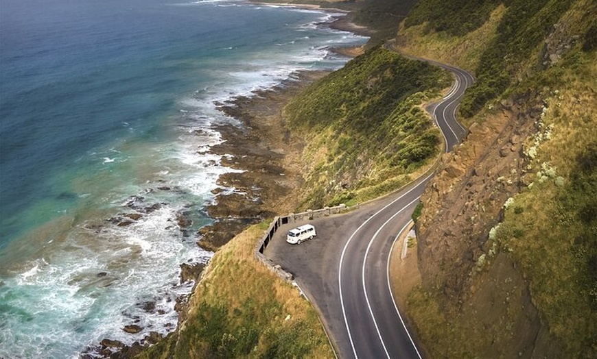 Image 7: Great Ocean Road Private Group Tour in Melbourne