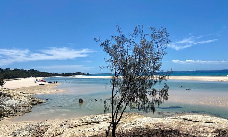 Image 3: North Stradbroke Island WILDLIFE Adventure Tour from Brisbane