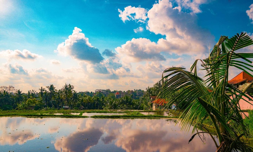 Image 3: ✈ INDONÉSIE | Bali & Lombok - A la découverte des îles Indonésienne...