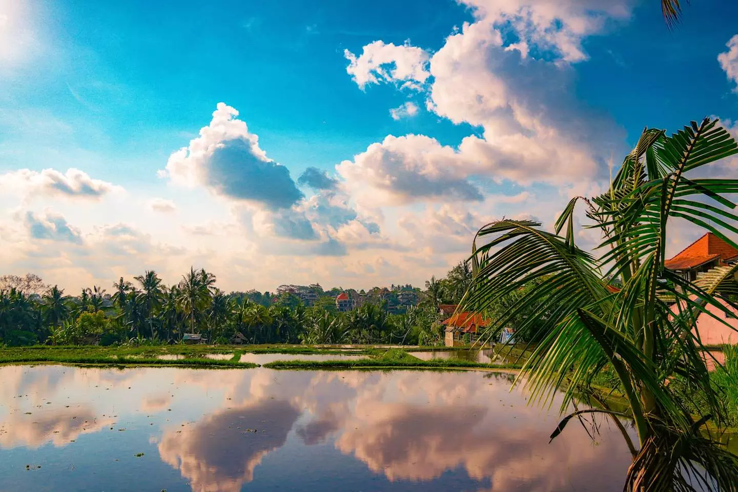 ✈ INDONESIA | Bali & Lombok - Alla scoperta delle isole indonesiane...