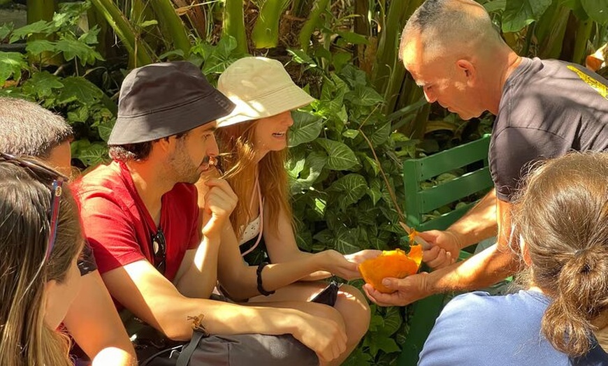 Image 3: Tour ecológico de cultivo de plátanos en La Palma