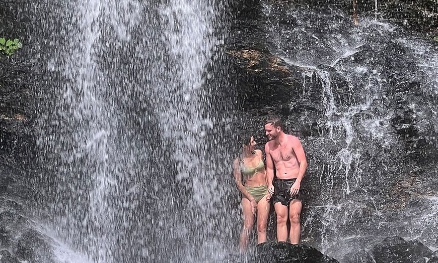 Image 10: UTV 4wd Cassowary Falls and Daintree Rainforest Adventure tour