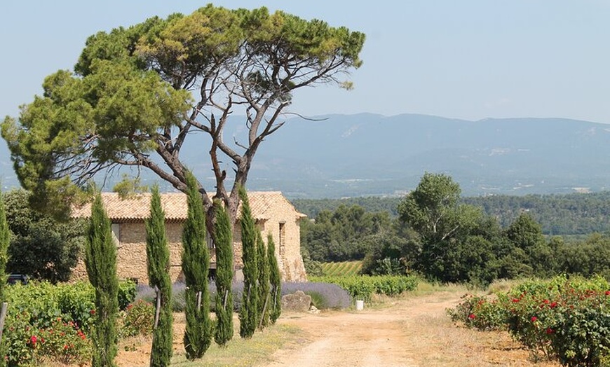 Image 2: Goût de Provence - Vins et paysages autour d'Aix-en-Provence