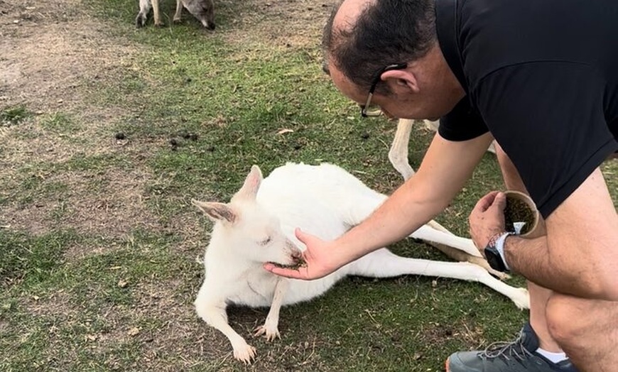 Image 4: Phillip Island Private Tour Penguins Wildlife and Scenic Views