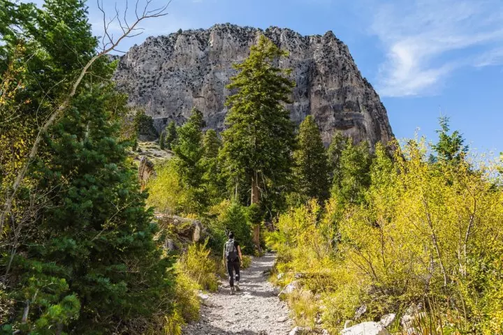 Mount Charleston Tour from Las Vegas
