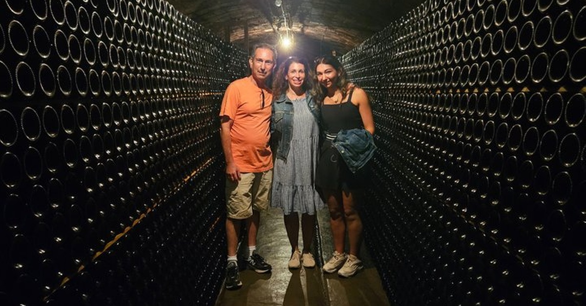 Tour privado de cata de vinos cerca de Barcelona