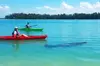 Kayaking with coastal wildlife in Sarasota Bay
