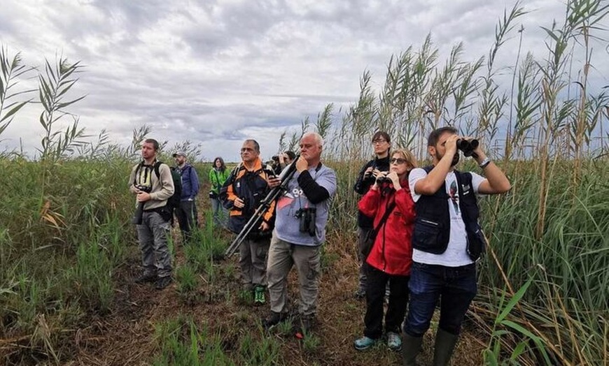 Image 8: Inmersión Holística en la Reserva de la Biosfera de les Terres de l...