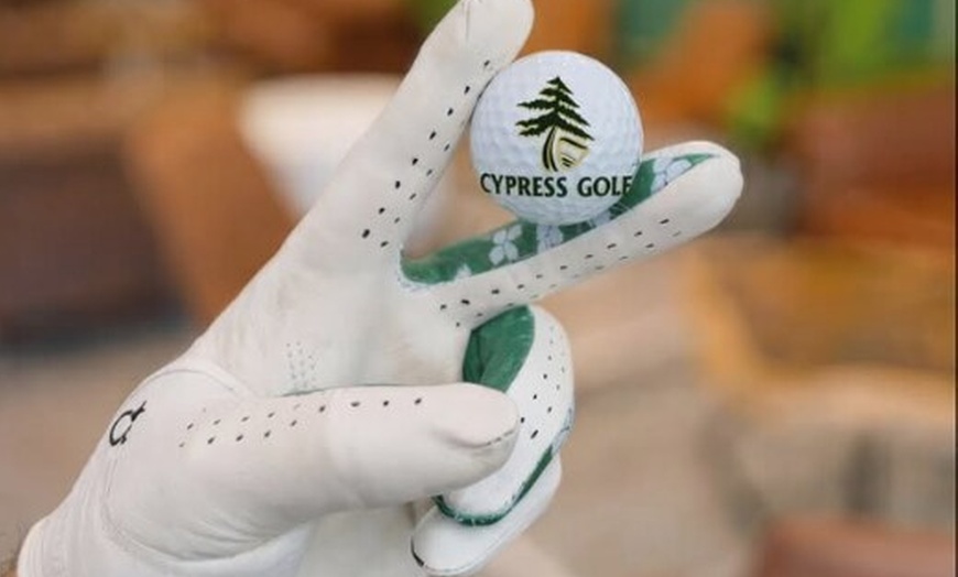Image 4: $25 For 1 Hour Of Indoor Golf Simulator Session (Reg $50)