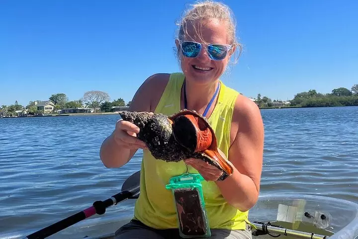 Clear Kayak Glass Bottom Day Tour - Anna Maria Island
