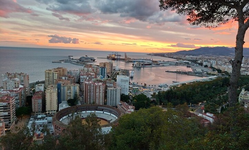 Image 10: Visita La Cueva del Tesoro en coche eléctrico en Málaga
