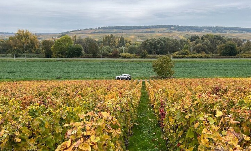 Image 11: Moët et Chandon Veuve Clicquot Taittinger Champagne Paris Tour