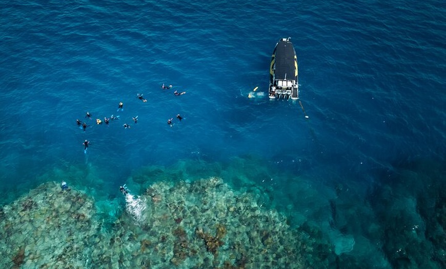 Image 8: Great Barrier Reef Small Group Snorkelling Adventure