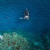 Image 8: Great Barrier Reef Small Group Snorkelling Adventure