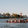 Image 6: Hilton Head Guided Dolphin Watching & Sightseeing Tour via Mini Boat