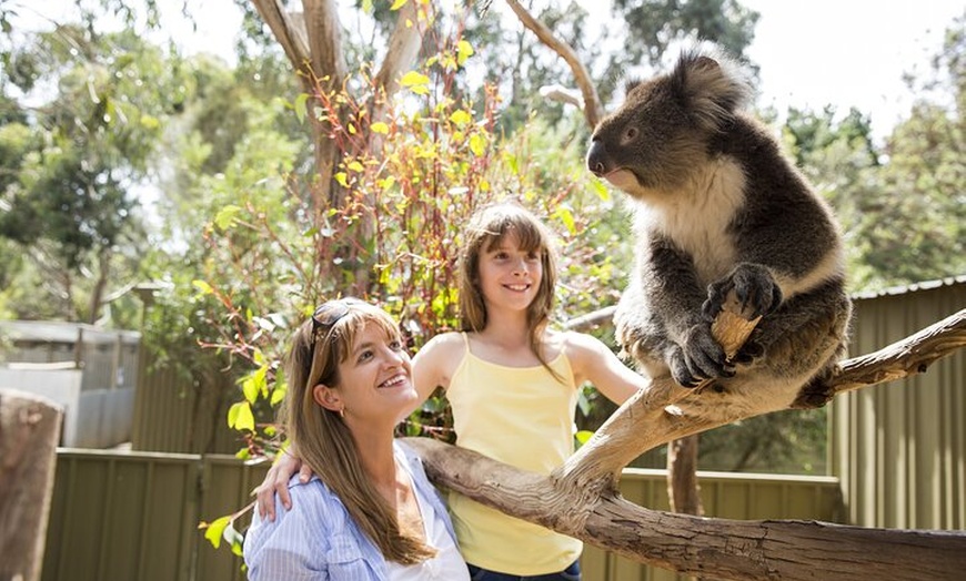 Image 8: Kangaroo Island in a Day Tour from Adelaide