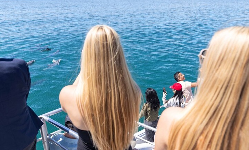 Image 8: All Inclusive Jervis Bay Day Tour Dolphin Cruise, Lunch &Blowhole
