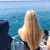 Image 8: All Inclusive Jervis Bay Day Tour Dolphin Cruise, Lunch &Blowhole