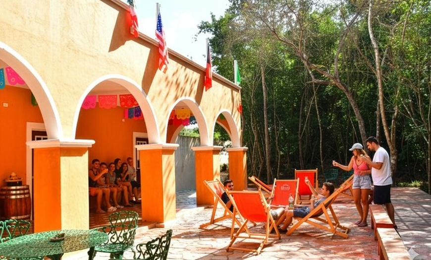 Image 4: ATV Adventure, Interactive Bridges, Ziplines, Cenote and Lunch