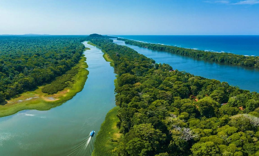 Image 2: ✈ COSTA RICA | San José - De la jungle aux côtes du Pacifique - Aut...