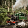 Image 2: Melbourne Puffing Billy Penguin Yarra Valley Wine choc Tour