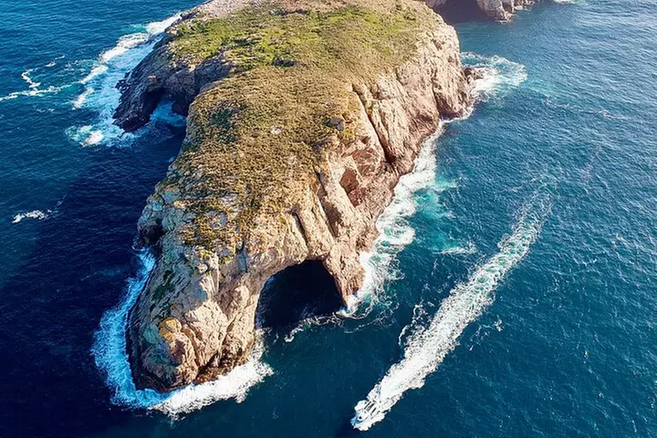 Maria Island 3 hours and 30 mins Scenic Cruise - Primary Image